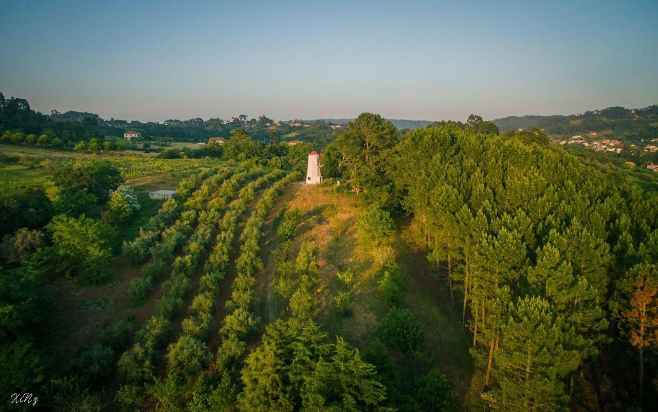 Quinta Do Guerra Vila Boldrarias Exterior foto